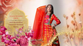 Classic banarasi anarkali dress | Shop Now! – Gulnaaz Fashion.