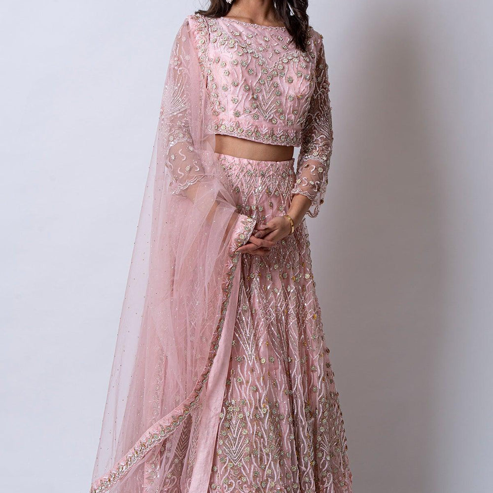
                  
                    baby pink lehenga choli
                  
                